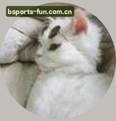 孙涛
